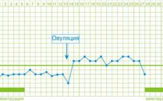 Какой должна быть базальная температура перед месячными