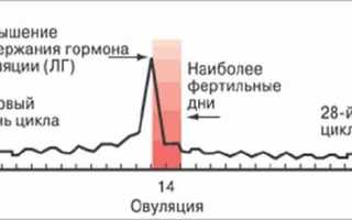Есть ли вероятность забеременеть перед наступлением менструации
