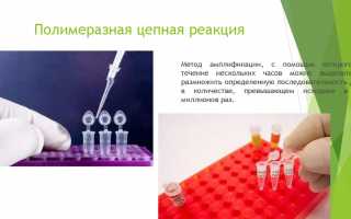 15 болезней провоцирующих ВПЧ 31 типа и другие особенности вируса