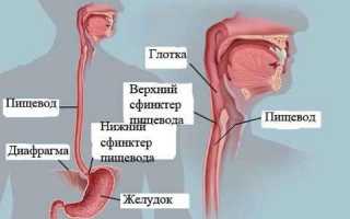 Удаление пищевода