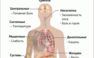 Заболевания горла и гортани симптомы и лечение болезни