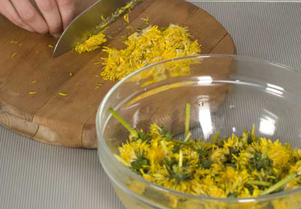 Цветки одуванчика