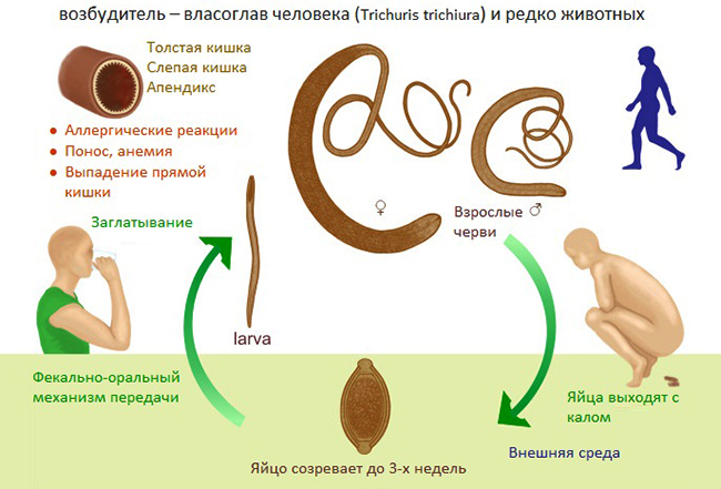 Схема передачи