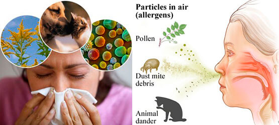 Сопли при прорезывании зубов и появление насморка