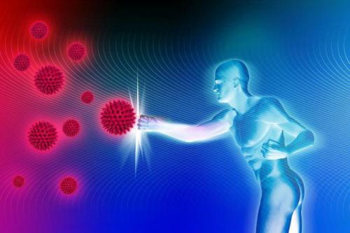 Интерферон стимулирует иммунную реакцию