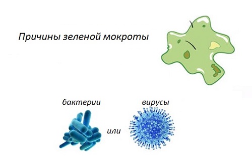 Опасно ли откашливание зеленой мокроты