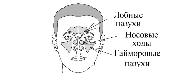Можно ли при рините греть нос