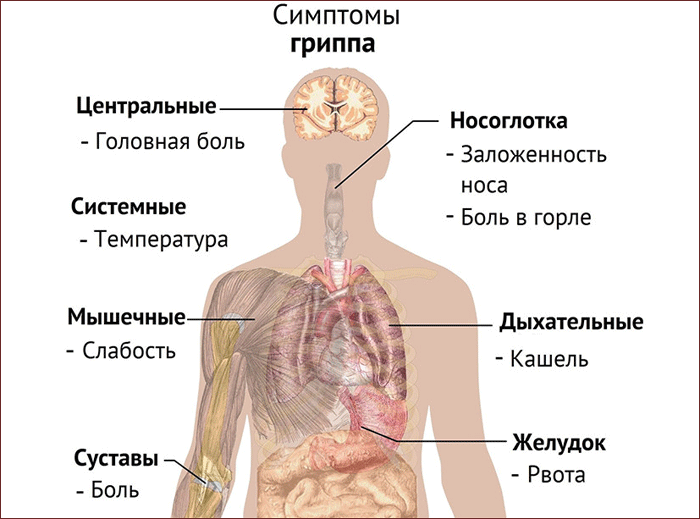 Заболевания горла и гортани симптомы и лечение болезни