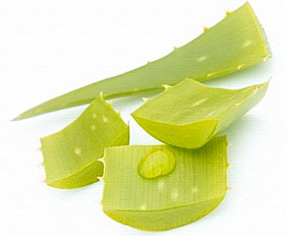 Причины появления жировика за ухом